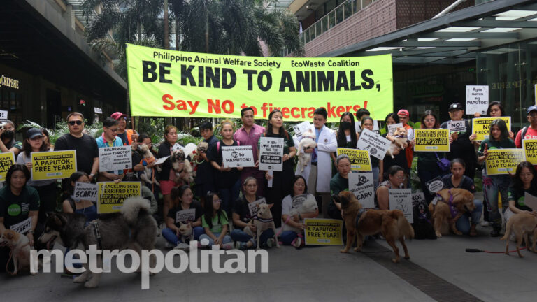 Groups Push To Protect Animals, People, And Nature From Harmful Fireworks Effects