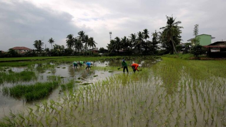 Davao Del Norte Town Coop Receives PHP5 Million Livestock Aid