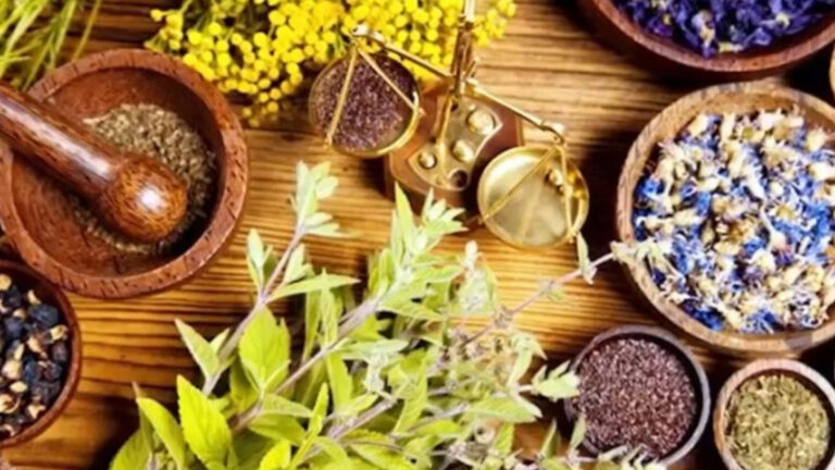 Cebu Partners With Fujian School To Train Doctors On Chinese Medicine