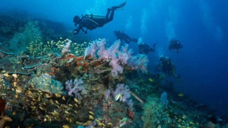 DOT-Eastern Visayas Eyes Hosting Of Philippine Dive Experience