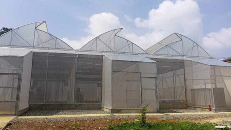 Antique Town’s New PHP5 Million Greenhouse Will Secure High-Value Crop Supply