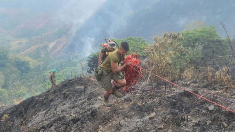 Ilocos Norte Seeks 226 More Village Rangers To Prevent Forest Fires