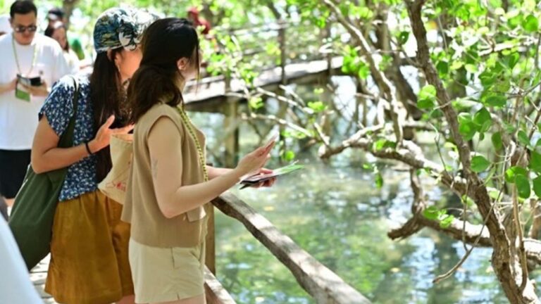 Sagay City’s Mangrove Island Eco-Park Wins ASEAN Tourism Award