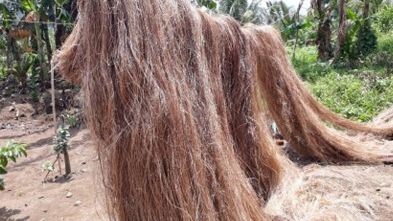 Fiber Traders Urged To Get Government License To Ensure Quality