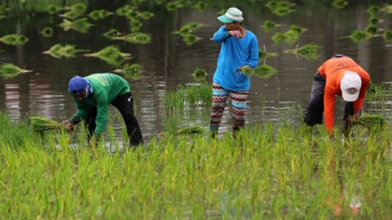 DAR: PHP8 Billion VISTA Project To Boost Rural Farmers, Promote Sustainability