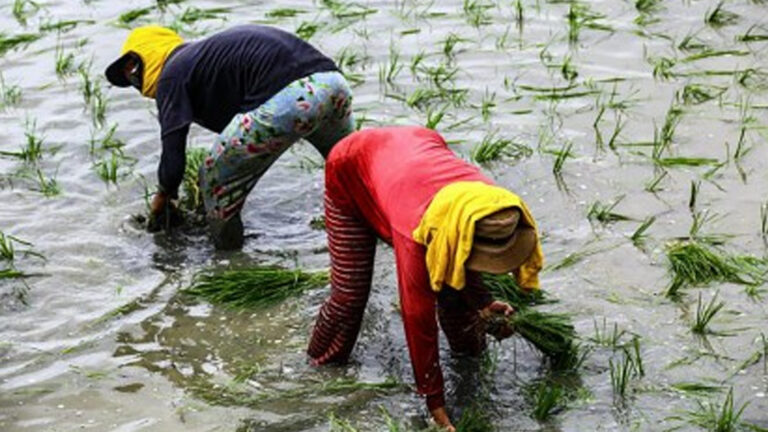 Agri Chief Pushes For Smart Investments, High-Return Projects