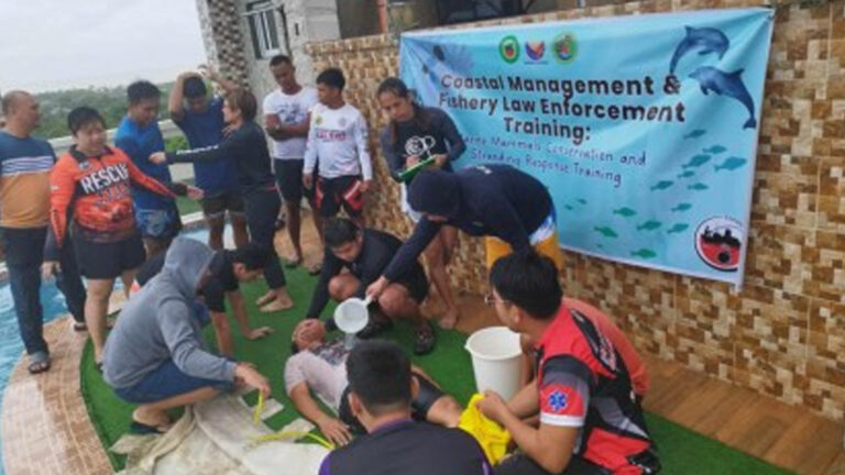 Catanduanes Boosts Responders’ Skills On Marine Mammal Stranding