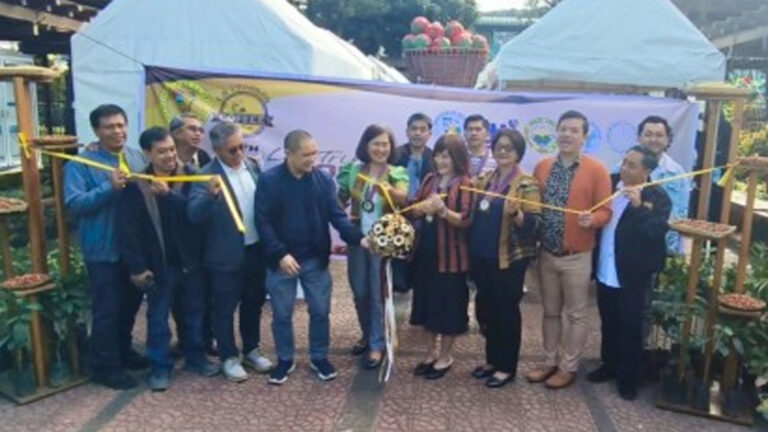 Benguet Town To Boost Coffee Production With 20K More Trees