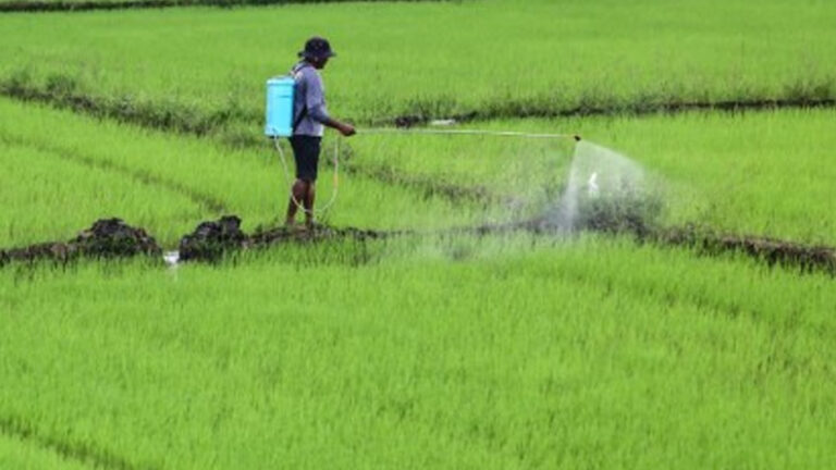 Philippines, Cambodia Partner To Boost Rice Production, Agricultural Trade