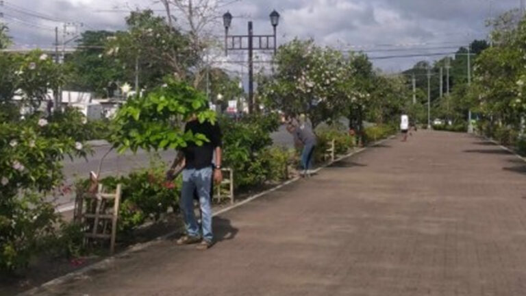 Iloilo City Forms Task Force For Tree Planting Initiatives