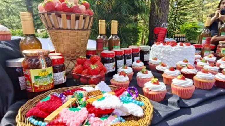 Giant Basket-Shaped Cake To Highlight 2025 Strawberry Festival
