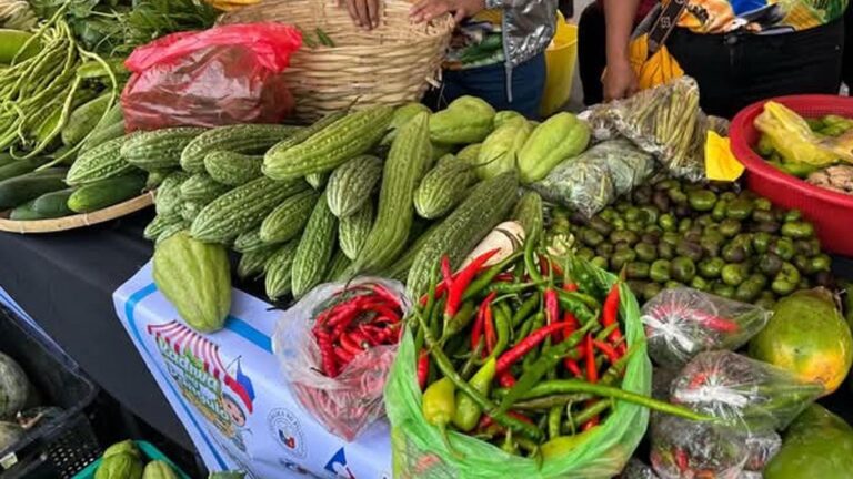 Bacolod City Launches Kadiwa Center For Small Farmers
