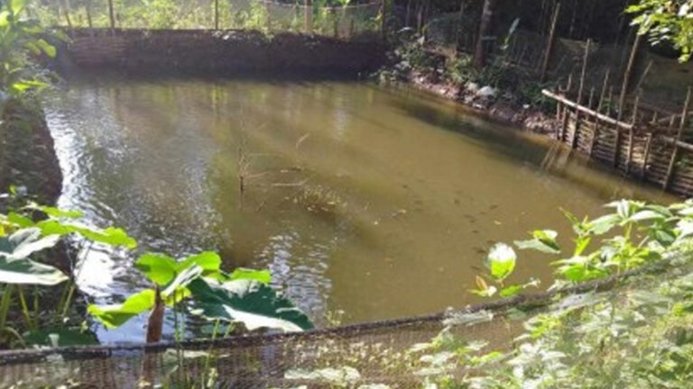 DSWD’s PHP21 Million Risk Resiliency Program Expansion Starts March