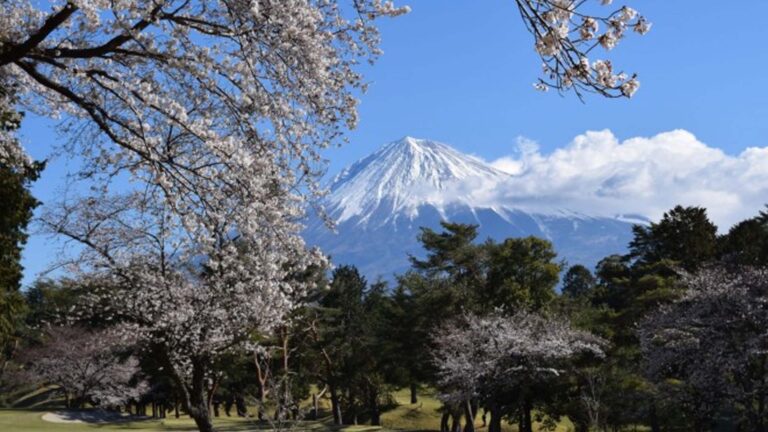 No ‘Visa Fee’ Applies To Japan Tourist Visa