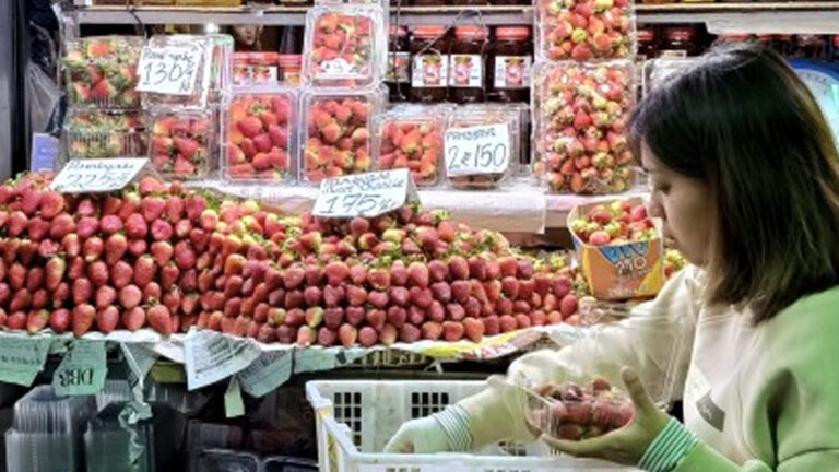 Agri-Tourism Uptrend Boosts Benguet’s Strawberry Industry