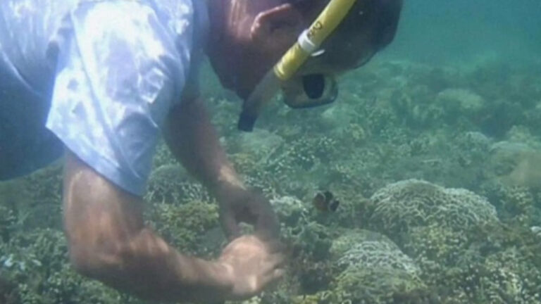 Cadiz City Adopts Management Plan To Protect Giant Clam Village