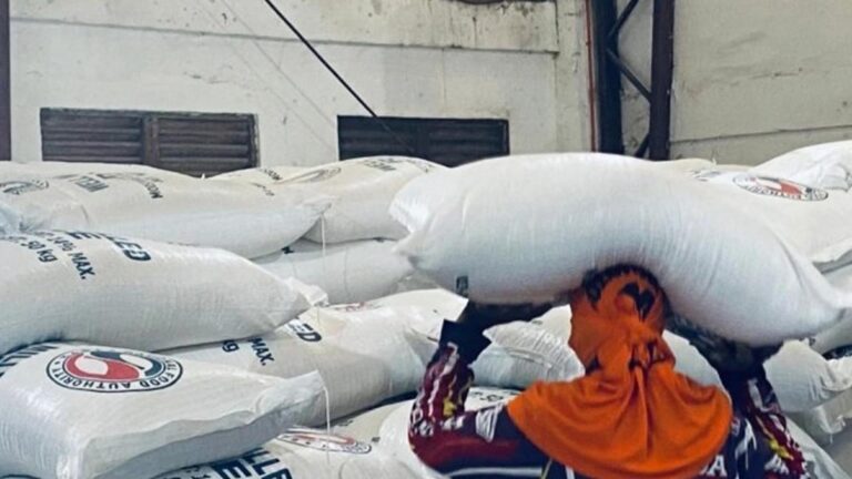 NFA: Philippines On Track To Food Security Goal With Sufficient Rice Reserves