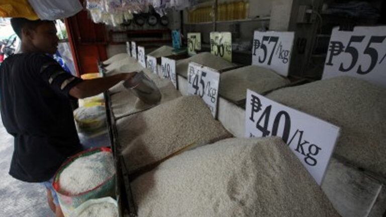 Department Of Agriculture Sees Lower Rice Imports, More Robust Local Palay Output