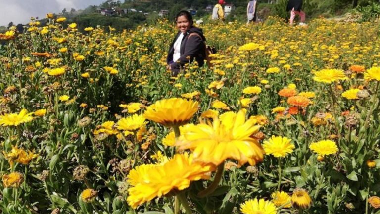 Benguet Flower Town Continues To Increase Tourism Revenues