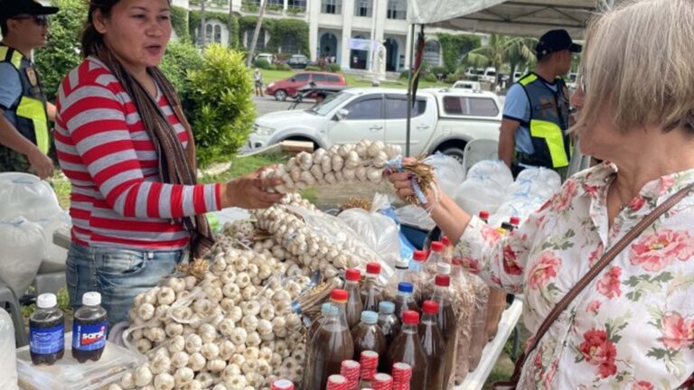 Ilocos Norte To Revive Garlic Festival To Promote Industry