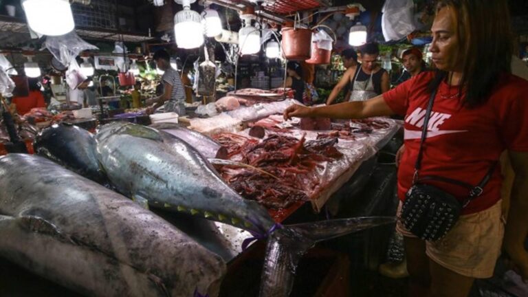 Fish Prices Stable Ahead Of Holy Week