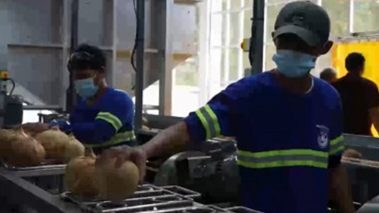 PBBM: 66K Misamis Oriental Farmers To Benefit From New Coconut Processing Plant
