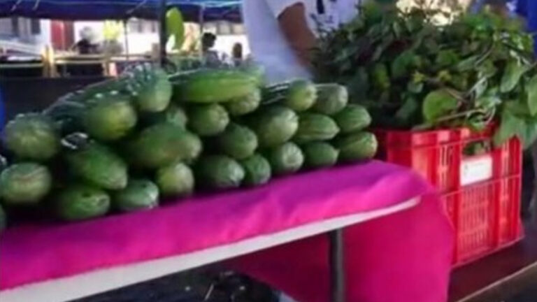 40 Exhibitors To Join Labor Day Kadiwa In Antique