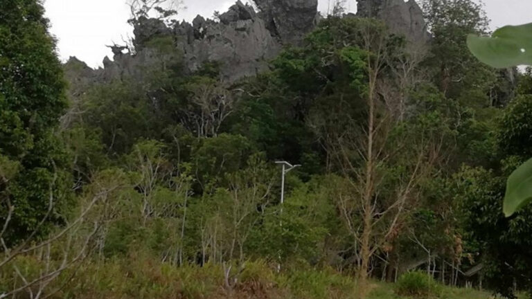 Antique Caves Rich In Biodiversity, History