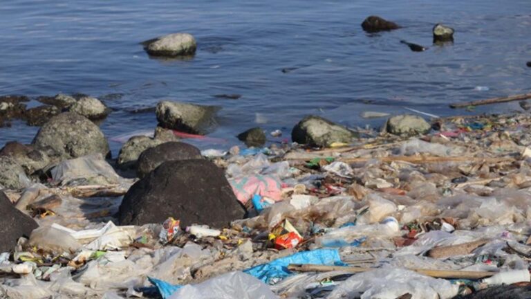 Volunteers Collect 2.5 Tons Of Trash In Caraga Cleanup