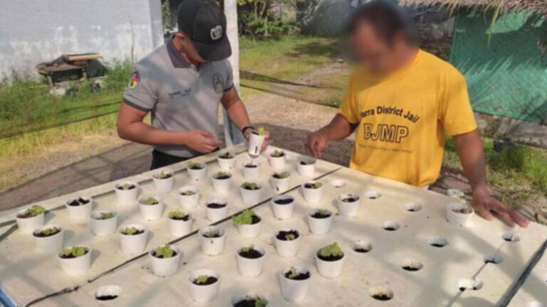 Hope In Greens: Narra Jail’s Hydroponics Offer Fresh Start For Inmates