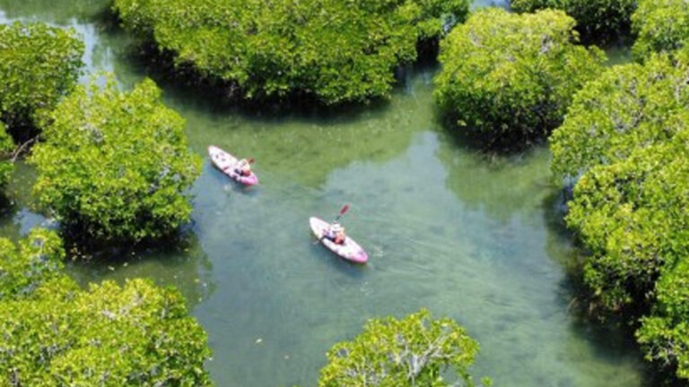 Marketing Support From TPB Boosts Sagay City’s Community Tourism Site