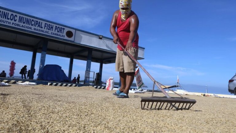 First Quarter Agrifishery Growth Signals Momentum Of Recovery