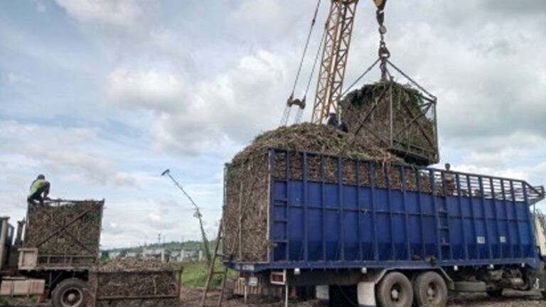 Sugar Production To Hit 5% More Than Initial Estimate
