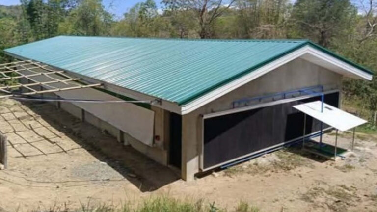 Department Of Agriculture Implements PHP40 Million Recovery, Expansion Program In Antique