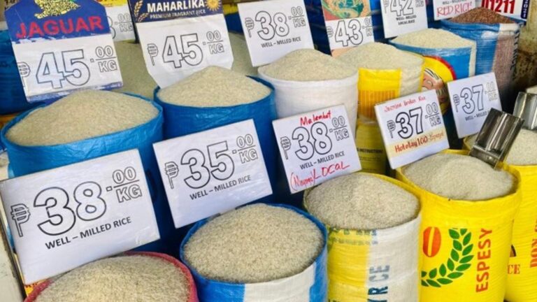 Department Of Agriculture Wants 15% Tariff Retention On Rice Imports For Stable Retail Prices