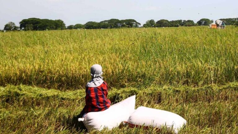 Department Of Agriculture: Fertilizer Supply Stable Despite Israel-Iran Conflict