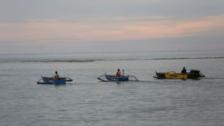 Northern Mindanao Communities Thrive With Government Agri, Fishery Aid