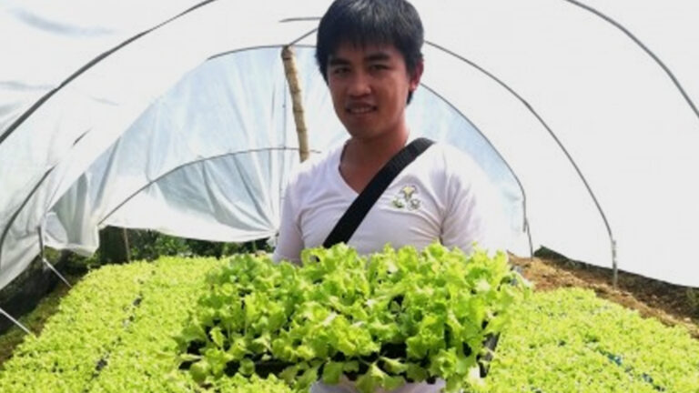 Government Aid Lures More Youths Into Farming In Benguet Town