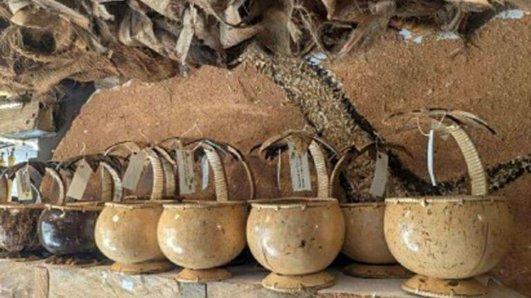 Empowering Change: PDLs Showcase Craftsmanship At Baragatan Festival