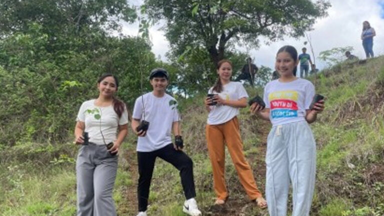 85% Of 550K Tree Seedlings In Ilocos Survive Under 2024 Greening Push