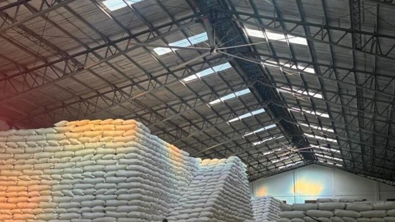Improved NFA Warehouses To Help Local Farmers, Hike Palay Buying