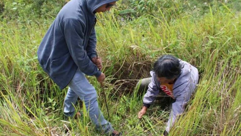 ‘Pista Sa Kagubatan’ Targets To Plant 1K Endemic Seedlings In Antique
