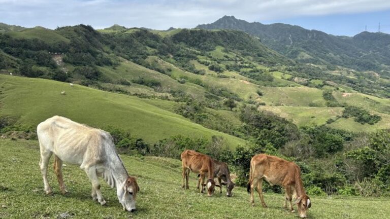 Tourism Remains Key Growth Driver Under Marcos Admin