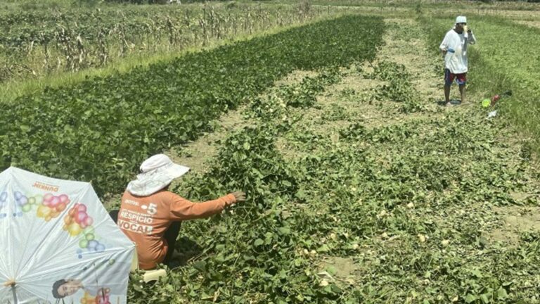 President Marcos Pushes For Modern Farming Tech To Lure Youth Into Agri