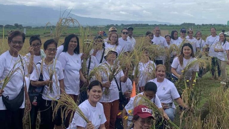 DA-PhilRice Unveils High-Zinc Rice In Negros