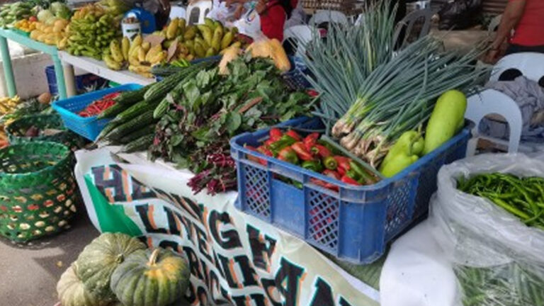 Negros Oriental Food Security Education Drive Reaches 85 Schools