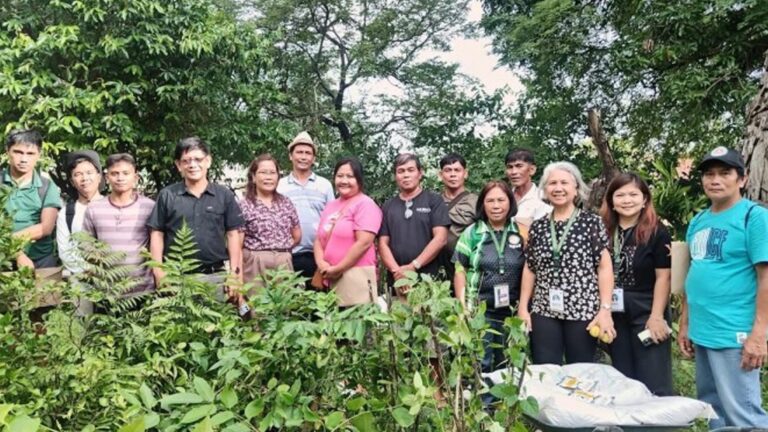 Ilocos Norte Farmers Step Up Preservation Of Indigenous Plants