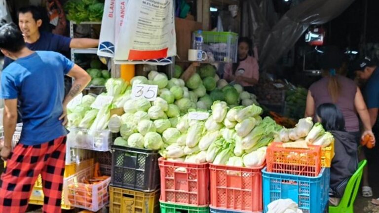 Benguet To Revive Tramlines To Help Farmers Transport Vegetables