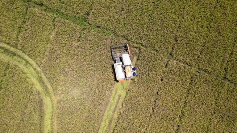 Millions Of Philippine Farmers Benefit From President Marcos Agri Support