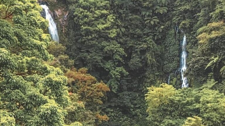 PBBM Declares Sites In Guimaras, Quezon, Albay As Protected Areas